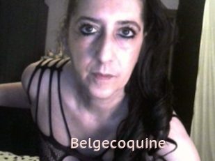 Belgecoquine
