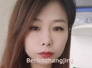Bericezhangjing
