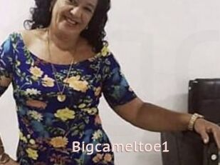 Bigcameltoe1