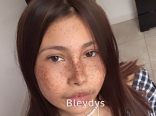 Bleydys