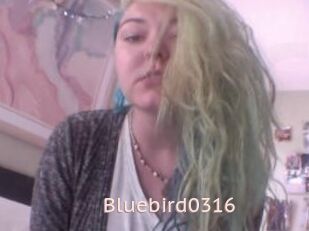 Bluebird0316