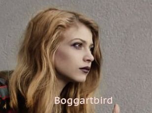 Boggartbird