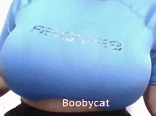 Boobycat