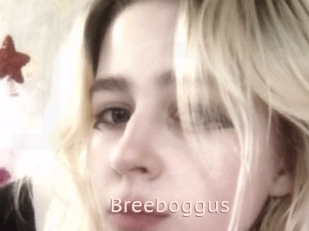 Breeboggus