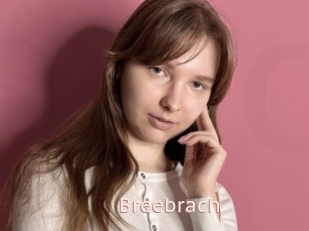 Breebrach