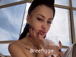 Breefigge
