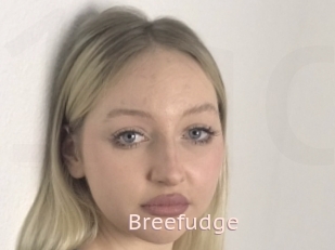 Breefudge