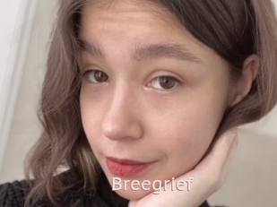 Breegrief