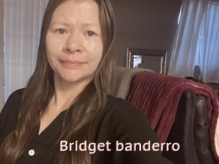 Bridget_banderro