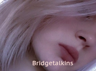Bridgetalkins