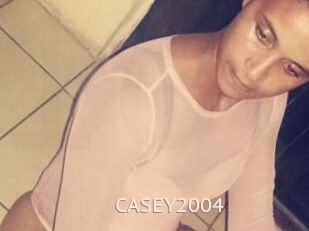 CASEY2004