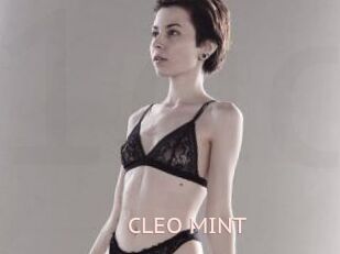 CLEO_MINT