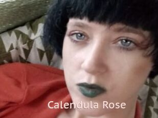 Calendula_Rose