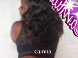 Camlia