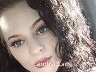 Candice_Cane
