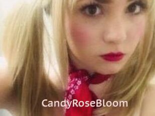 CandyRoseBloom