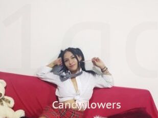 Candyflowers