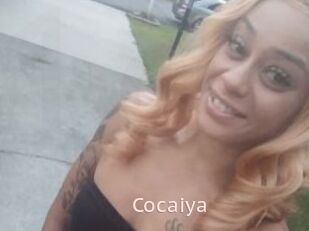Cocaiya