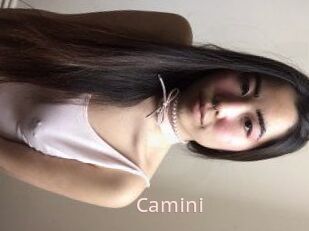 Camini