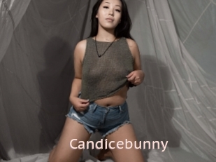 Candicebunny