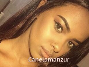 Canelamanzur