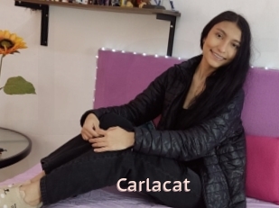 Carlacat