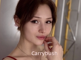 Carrybush