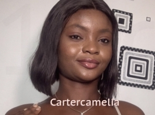 Cartercamelia