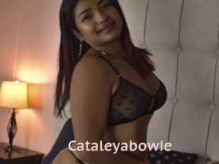 Cataleyabowie