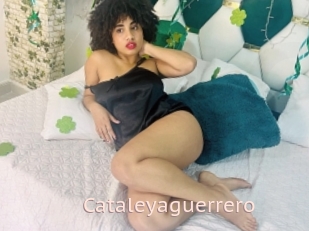 Cataleyaguerrero