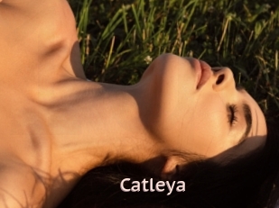 Catleya