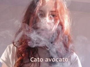 Cato_avocato