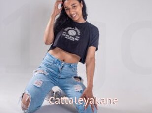 Cattaleyakane