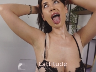 Cattitude