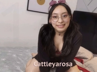 Cattleyarosa