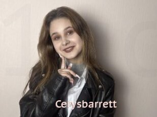 Cerysbarrett
