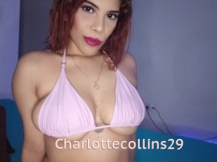Charlottecollins29