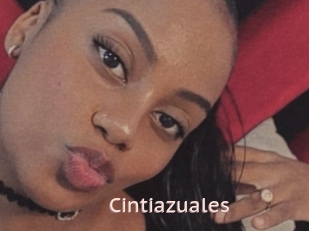 Cintiazuales