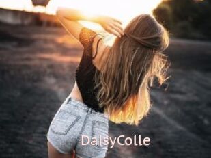 DaisyColle