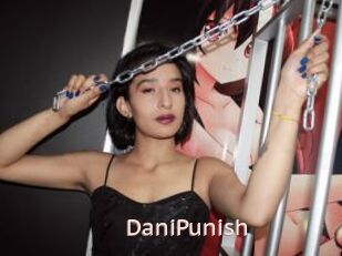 DaniPunish