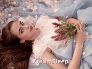 DreamSleep