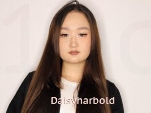 Daisyharbold