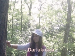 Dariakobra
