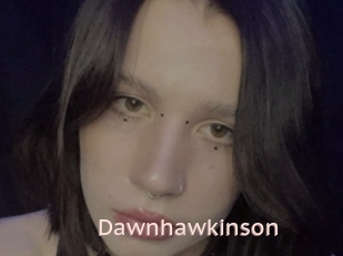 Dawnhawkinson