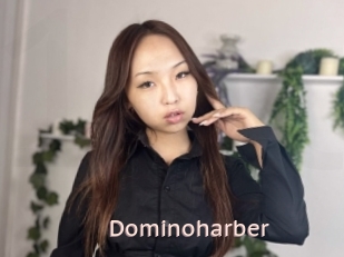 Dominoharber