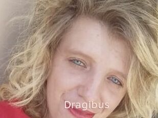 Dragibus