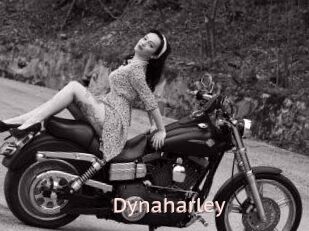 Dynaharley