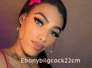 Ebonybiigcock22cm