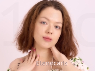 Elenecaris
