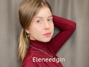 Eleneedgin